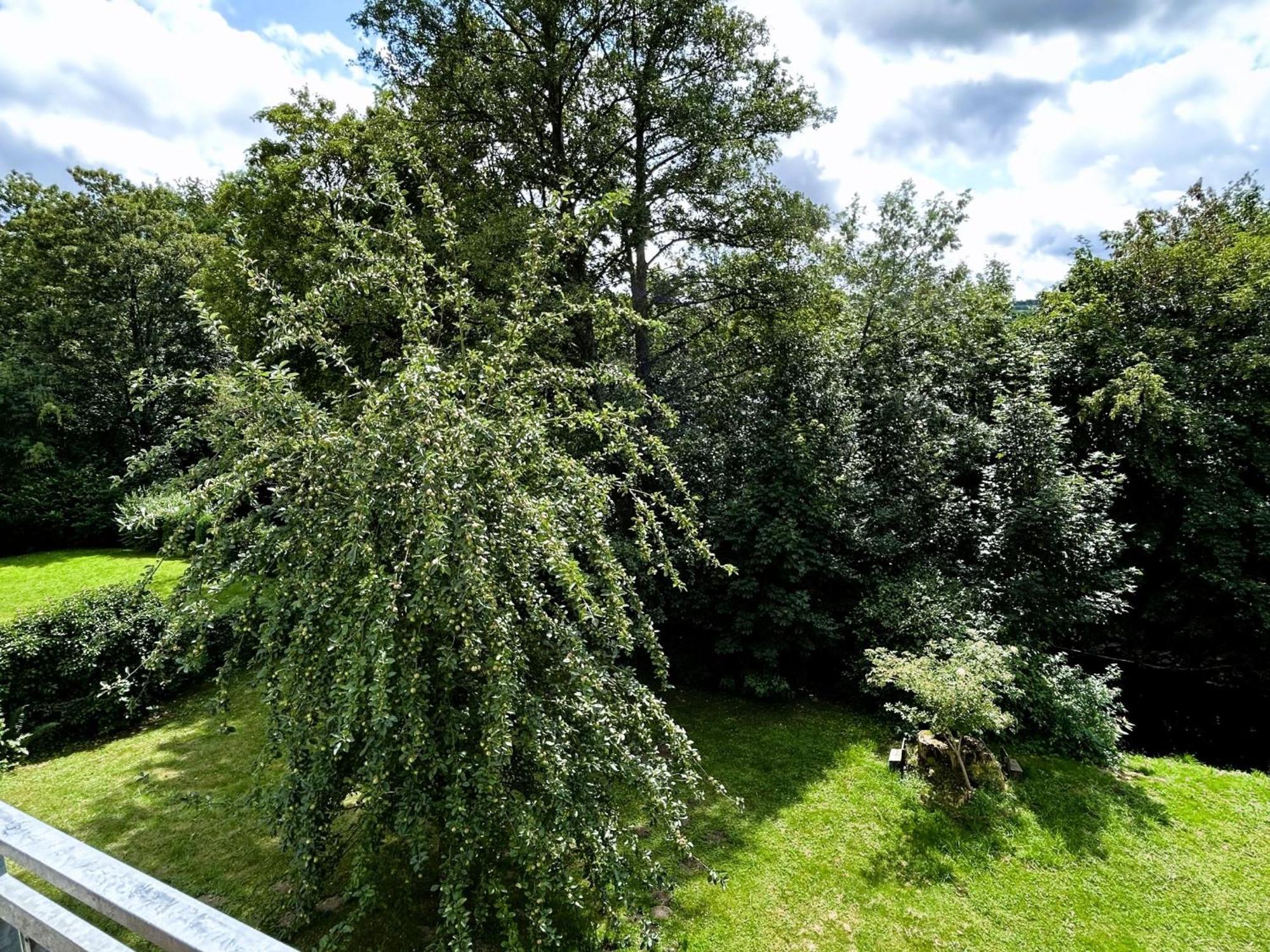 Ferienwohnung Sauerland An Der Ruhr Ольсберґ Екстер'єр фото