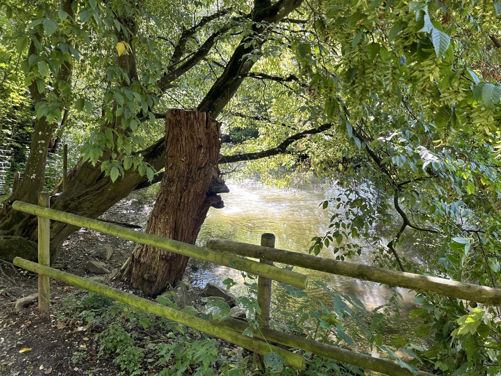 Ferienwohnung Sauerland An Der Ruhr Ольсберґ Екстер'єр фото