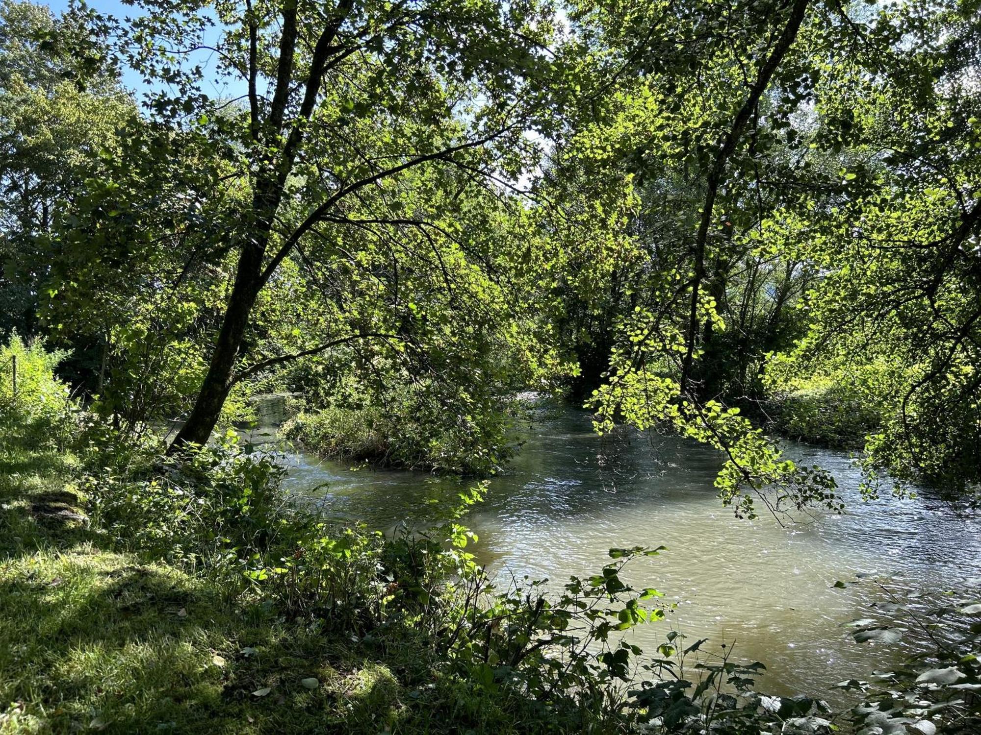Ferienwohnung Sauerland An Der Ruhr Ольсберґ Екстер'єр фото